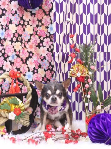 20250108ボーくん